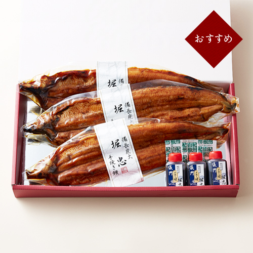 大サイズ三尾セット 商品画像